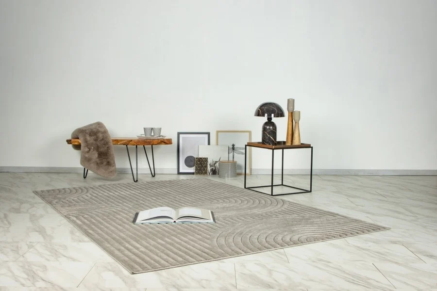 Vloerkleed Viva Japandi 401 - Zilver