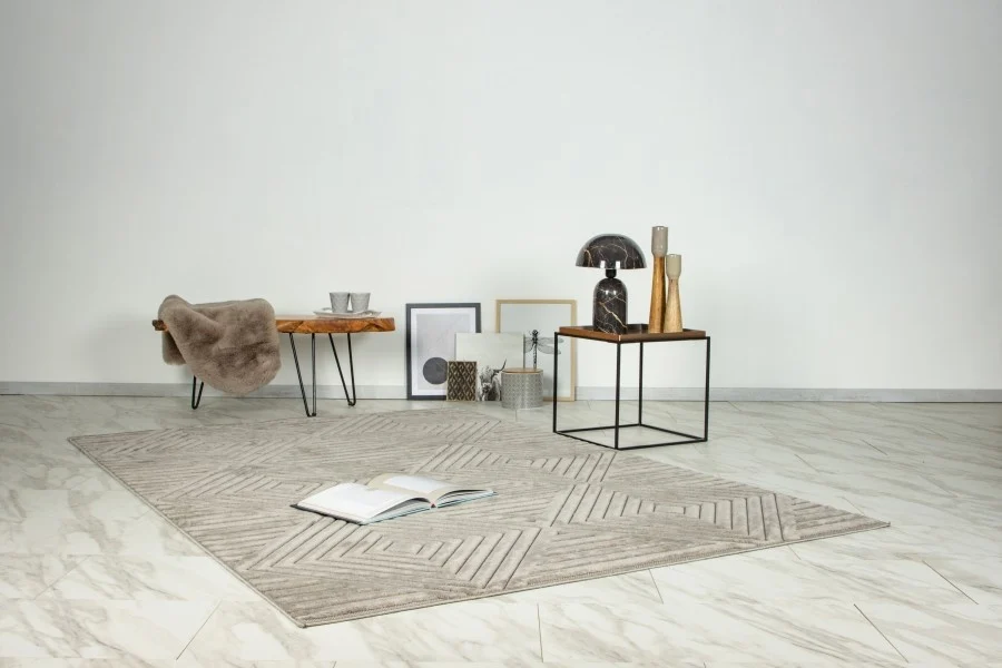 Vloerkleed Viva Japandi 402 - Zilver