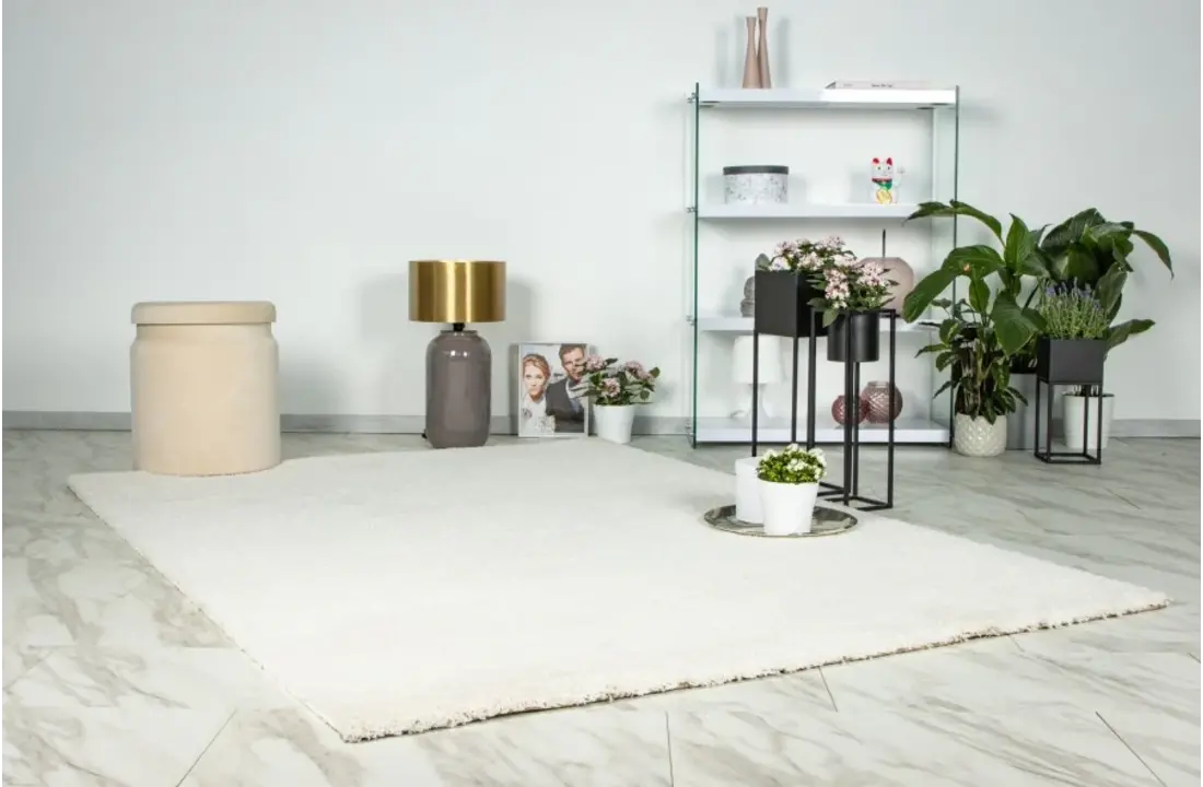 Vloerkleed Dream Ivory - hoogpolig
