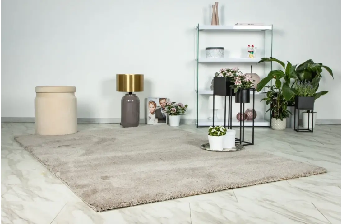 Vloerkleed Dream Beige - hoogpolig