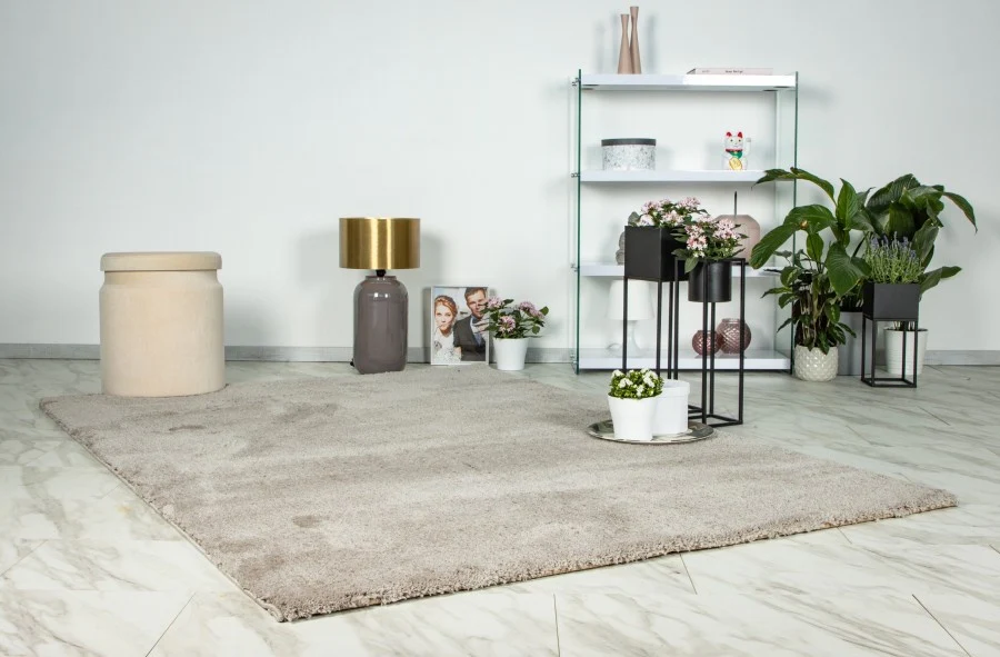 Vloerkleed Dream Beige - hoogpolig