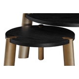 Salontafel Montezara - Zwart eiken | Brushed Gold - set van 2