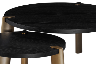 Salontafel Montezara - Zwart eiken | Brushed Gold - set van 2