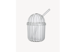 Ijskoffie Glas met rietje en deksel - 450 ML