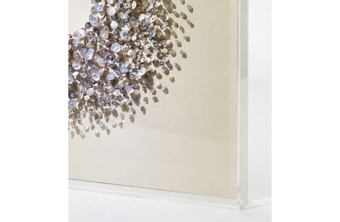Shell Serenity - Kunstwerk - 100 x 100 cm