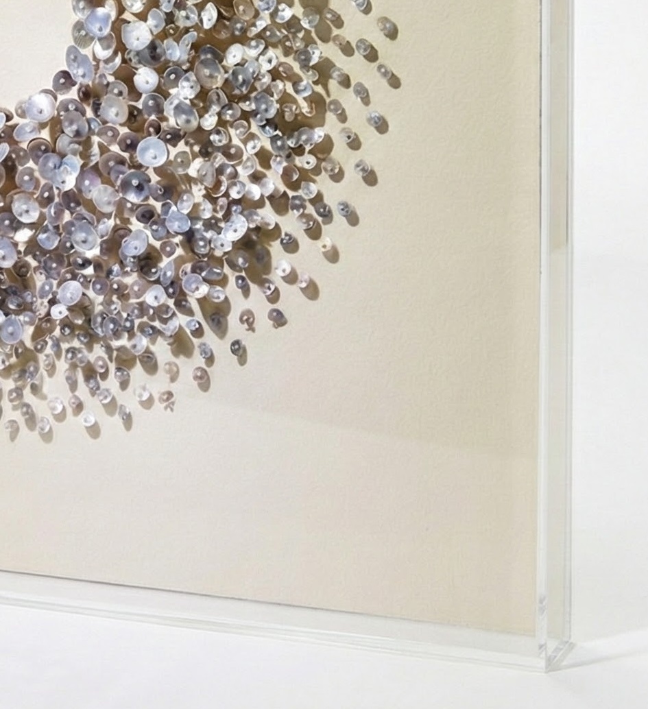 Shell Serenity - Kunstwerk - 100 x 100 cm