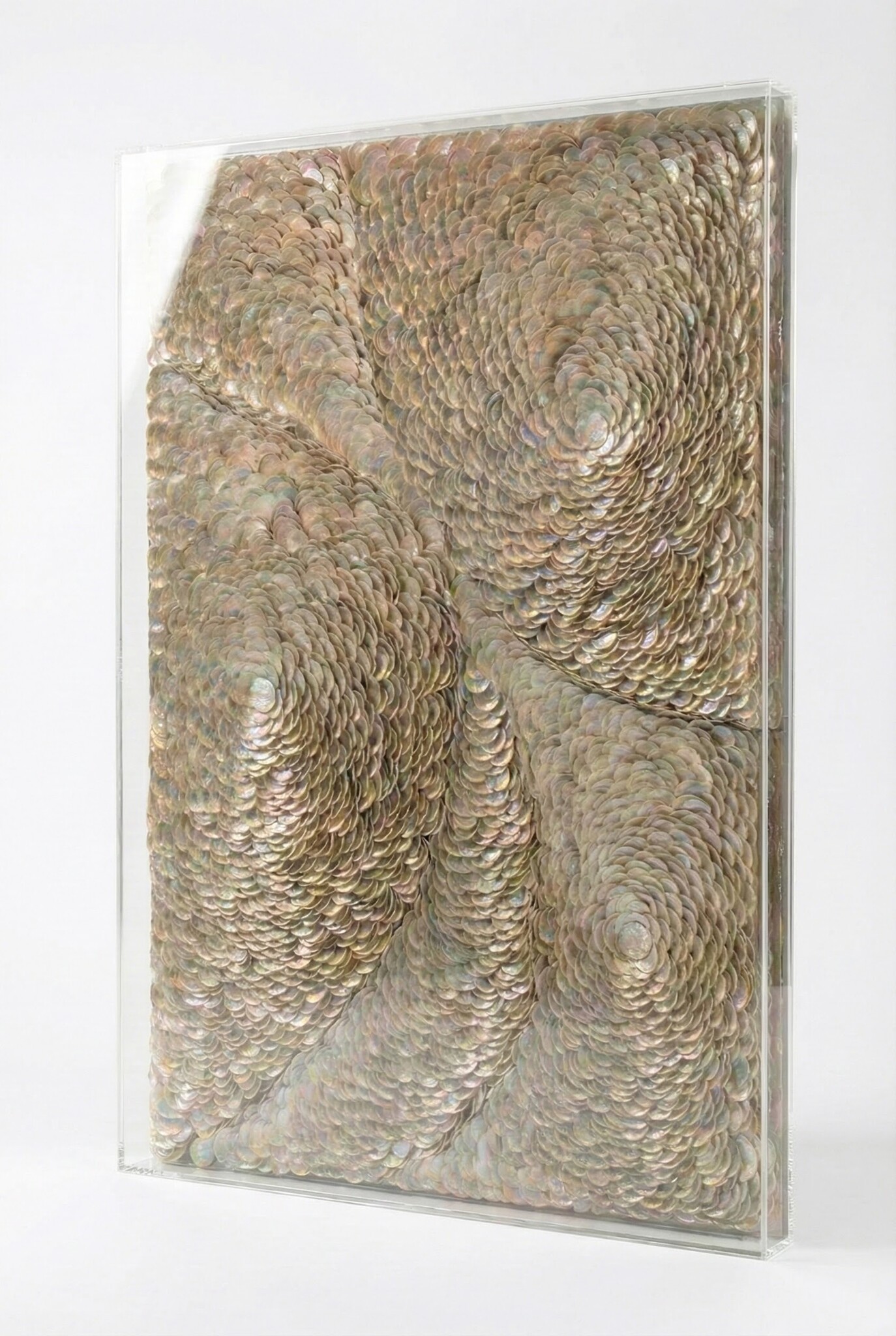 The Pearl - Kunstwerk - 80 x 120 cm