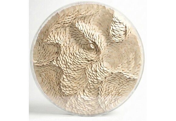 Leather Infinity - Kunstwerk - Beige