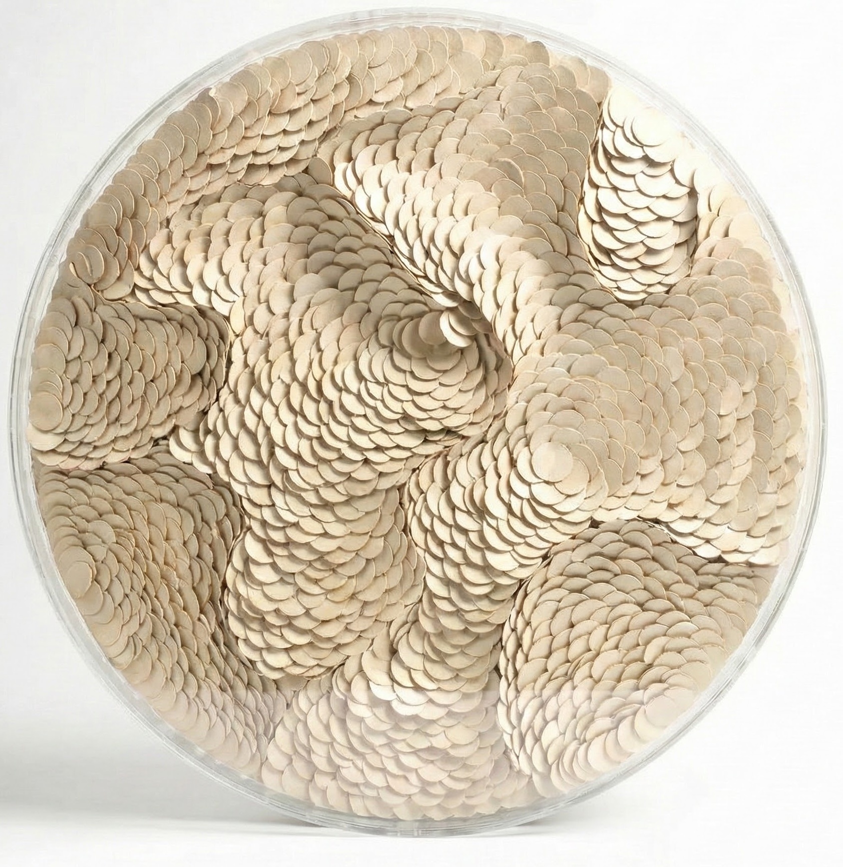 Leather Infinity - Kunstwerk - Beige - Ø 100 cm