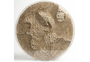 Leather Infinity - Kunstwerk - Taupe Bruin