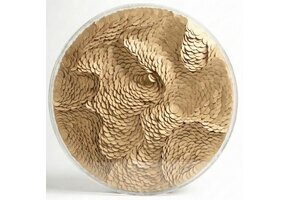 Leather Infinity - Kunstwerk - Goud