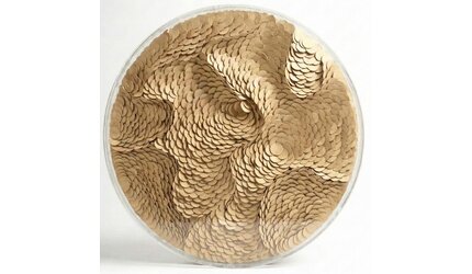 Leather Infinity - Kunstwerk - Goud