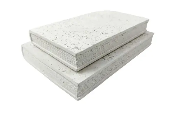 Decoratie boek Barletta