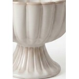 Bloomy ijscoupe & dessertschaal 2-delig