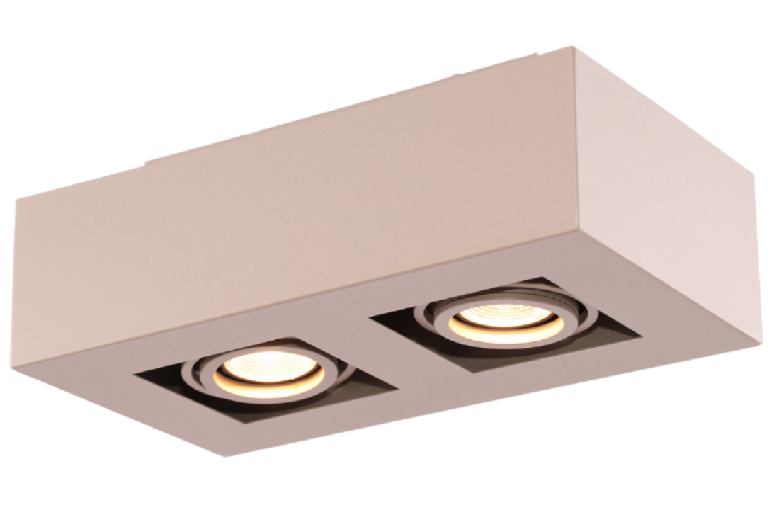 Moderne Plafondspot Quadrado - dimbaar 2x5W | Champagne