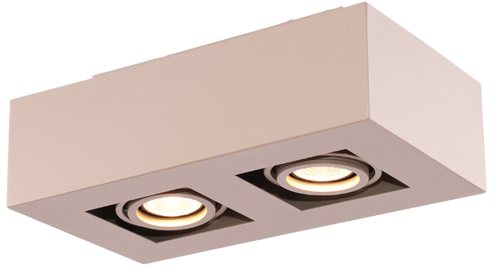 Moderne Plafondspot Quadrado - dimbaar 2x5W | Champagne