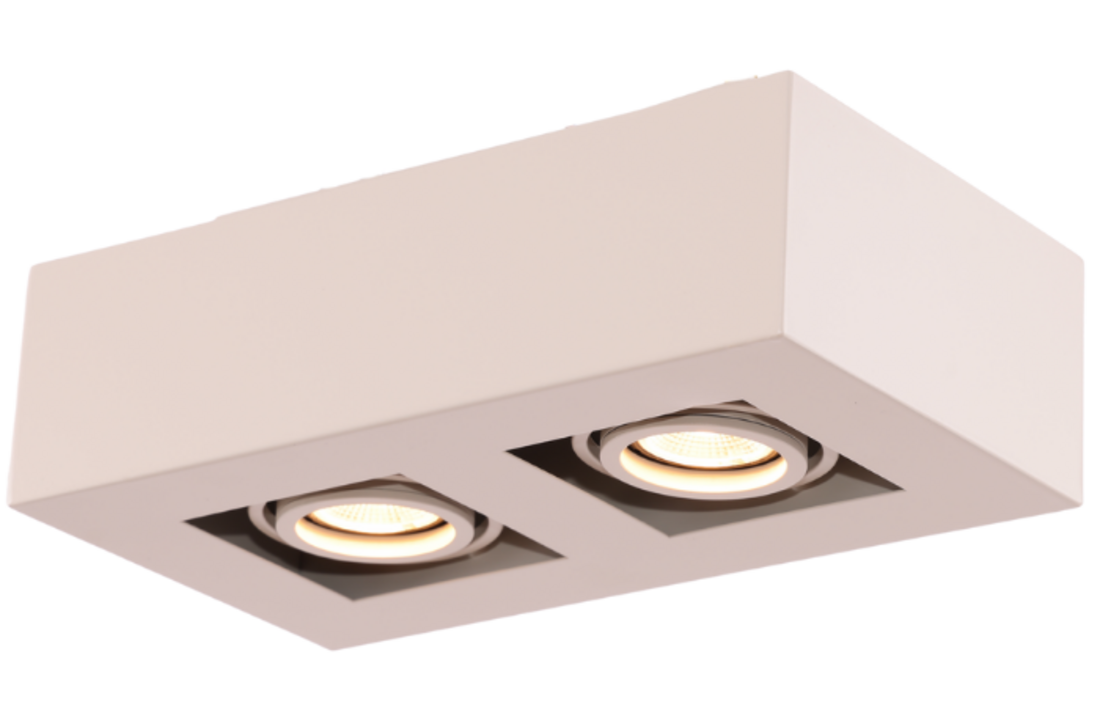 Moderne Plafondspot Quadrado - dimbaar 2x5W | Beige