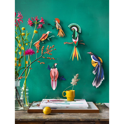 Studio Roof 3D Wall Decoration Paradise Bird Obi