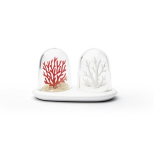 Qualy Salt and Pepper Set Coral Bleaching