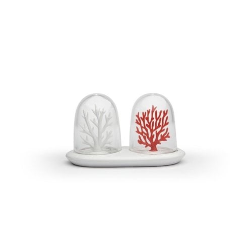 Qualy Salt and Pepper Set Coral Bleaching