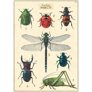 Cavallini & Co Vintage Schoolposter Insect Chart