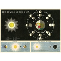 Vintage School Poster Phases of the Moon