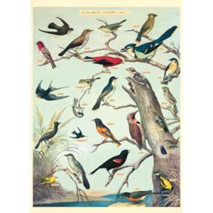 Cavallini & Co Vintage Schoolposter Audubon Birds