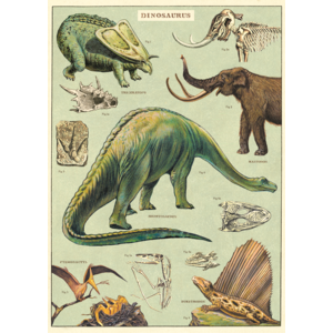 Cavallini & Co Vintage School Poster Dinosaurs