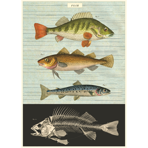 Cavallini & Co Vintage School Poster Fish