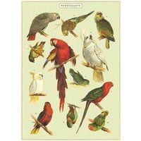 Vintage School Poster Parrots