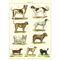 Vintage School Poster Dogs Chart