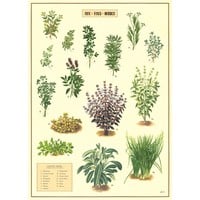 Vintage Schoolposter Aux Fines Herbes