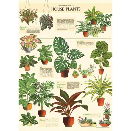 Cavallini & Co Vintage Schoolposter House Plants Cavallini & Co Vintage Schoolposter House Plants