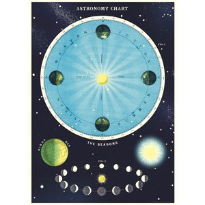 Cavallini & Co Schule Poster Astronomy chart