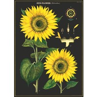 Vintage Schoolposter Sun Flower