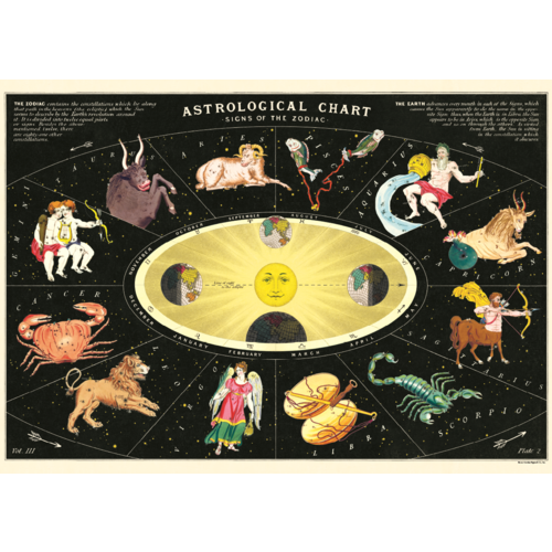 Cavallini & Co  Vintage Schoolposter Astrological Chart Signs of the Zodiac