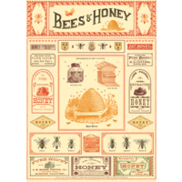 Vintage Schoolposter Bees & Honey