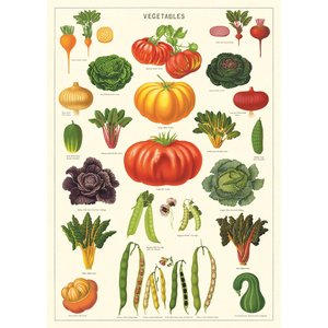 Cavallini & Co Vintage School Poster Vegetable Garden