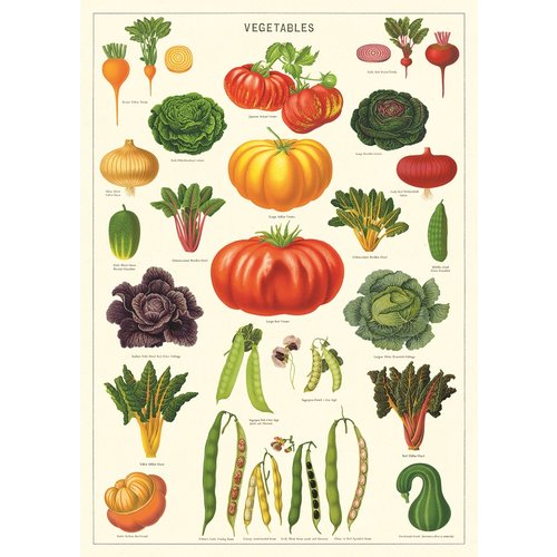 Cavallini & Co Vintage Schule Poster Vegetable Garden