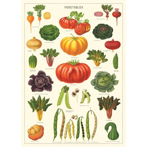 Cavallini & Co Vintage School Poster Vegetable Garden