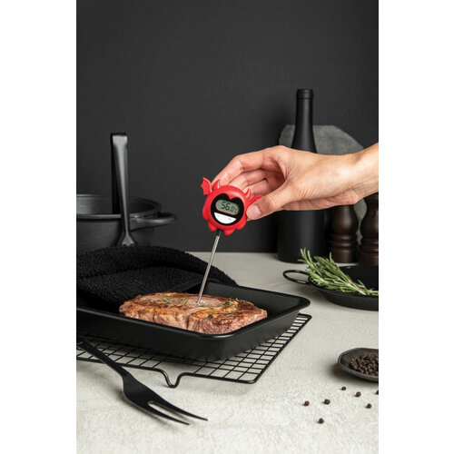 Hell Done - Digital Food Thermometer - OTOTO