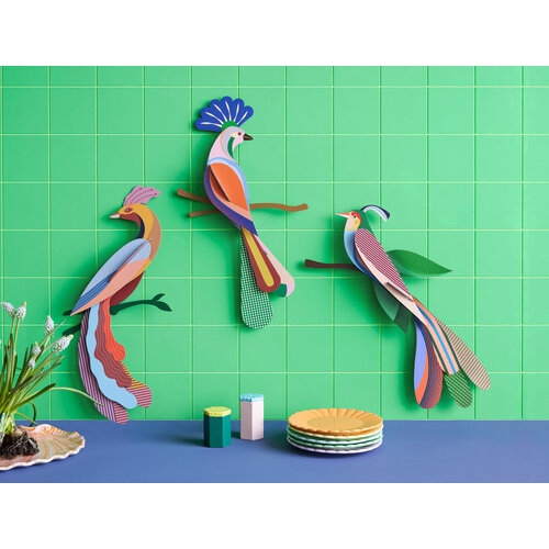 Studio Roof 3D Wall Decoration Paradise Bird Tinjil