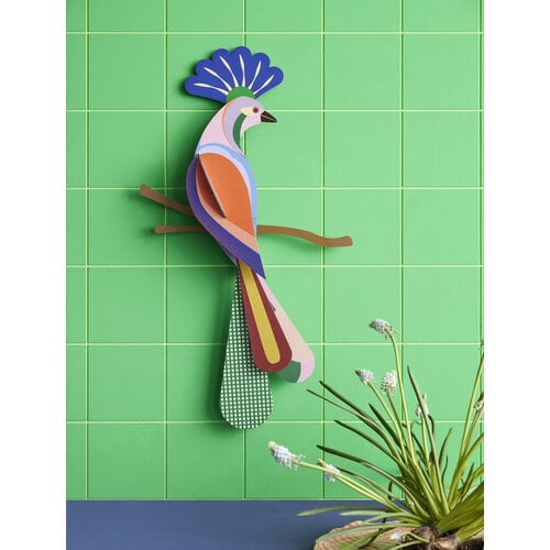 Studio Roof 3D Wall Decoration Paradise Bird Tinjil