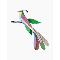 3D Wanddekoration Paradise Bird Maya