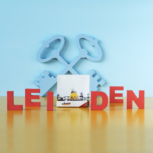 Storytiles Decorative Tile Ontzettend Leiden  small