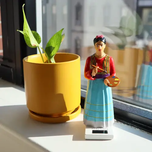 Kikkerland Solar Frida Kahlo bekende mexicaanse kunstenaar