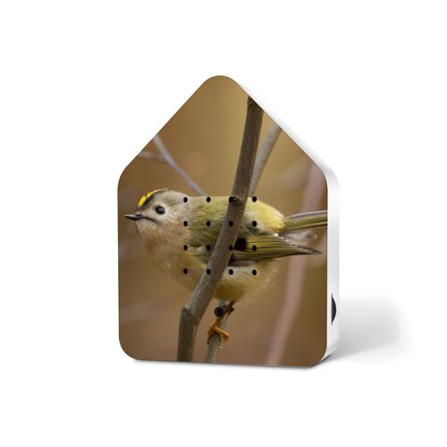 Relaxound Zwitscherbox with Bird  Sounds Goldcrest Limited Edition