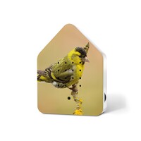 Zwitscherbox with Bird  Sounds Eurasian Siskin