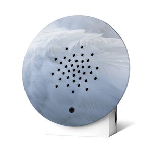 Relaxound Oceanbox  Limited Edition Blue Feathers