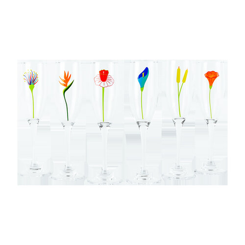 Pylones Champagne Glass Set Champ de fleurs Set of 6 Glasses